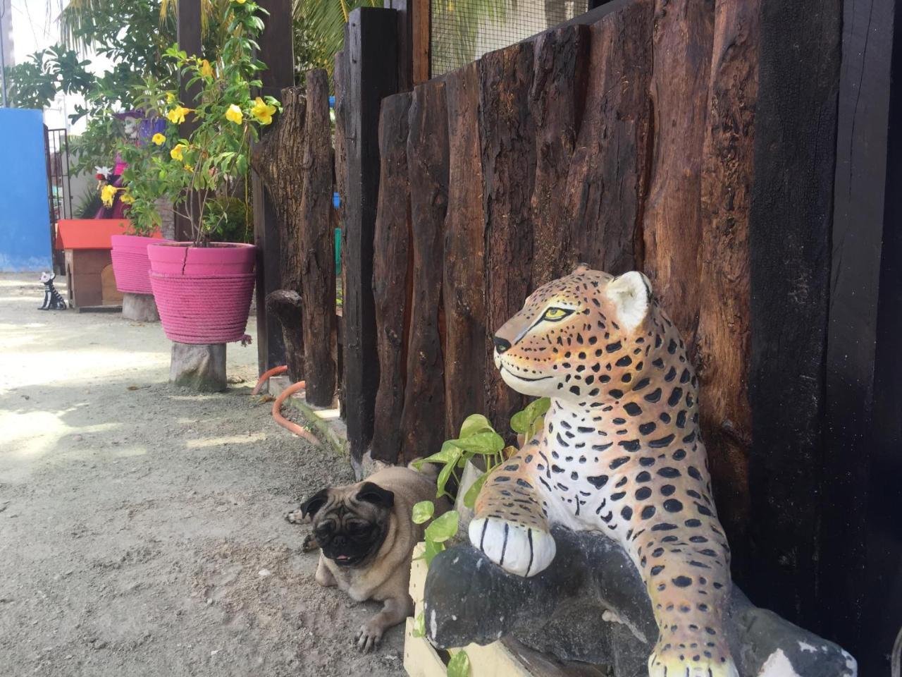 Hotel Hacienda La Catrina Isla Holbox Exterior photo